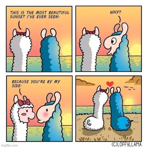 The most beautiful sunset | image tagged in memes,funny,wholesome,comics/cartoons | made w/ Imgflip meme maker