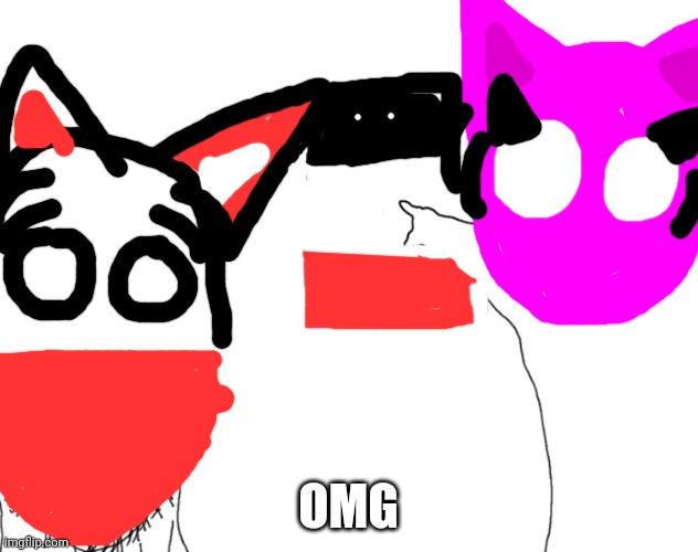 Soyjak pointing | OMG | image tagged in soyjak pointing,countryballs | made w/ Imgflip meme maker
