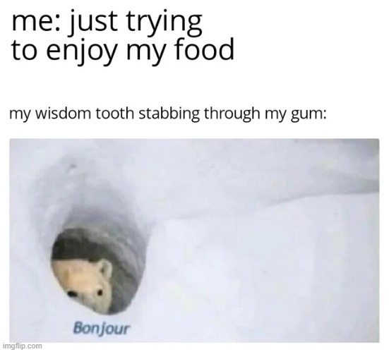 image tagged in memes,funny,repost | made w/ Imgflip meme maker