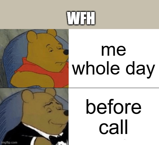 wfh pooh | WFH; me whole day; before call | image tagged in memes,tuxedo winnie the pooh | made w/ Imgflip meme maker