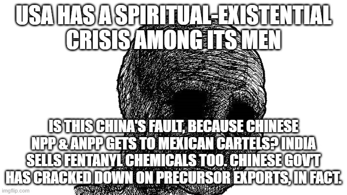 sad wojak | USA HAS A SPIRITUAL-EXISTENTIAL CRISIS AMONG ITS MEN; IS THIS CHINA'S FAULT, BECAUSE CHINESE NPP & ANPP GETS TO MEXICAN CARTELS? INDIA SELLS FENTANYL CHEMICALS TOO. CHINESE GOV'T HAS CRACKED DOWN ON PRECURSOR EXPORTS, IN FACT. | image tagged in sad wojak | made w/ Imgflip meme maker