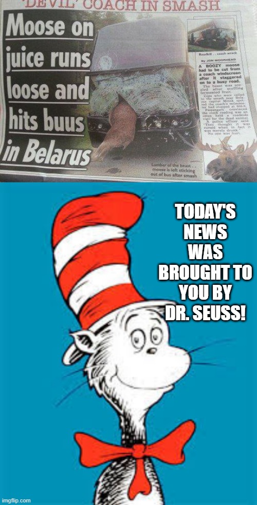 Rhyme | TODAY'S NEWS WAS BROUGHT TO YOU BY DR. SEUSS! | image tagged in dr seuss | made w/ Imgflip meme maker