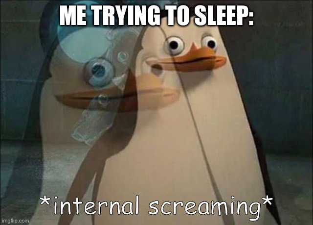 Private Internal Screaming | ME TRYING TO SLEEP: | image tagged in private internal screaming | made w/ Imgflip meme maker