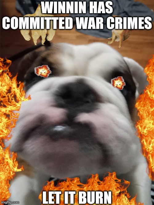 Winnin dash | WINNIN HAS COMMITTED WAR CRIMES; LET IT BURN | image tagged in winnin dash | made w/ Imgflip meme maker