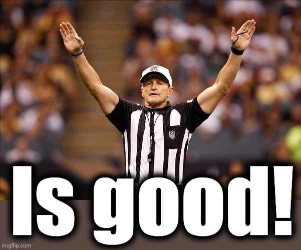 Logical Fallacy Referee NFL #85 | Is good! | image tagged in logical fallacy referee nfl 85 | made w/ Imgflip meme maker