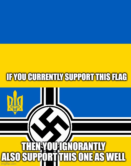 IF YOU CURRENTLY SUPPORT THIS FLAG; THEN YOU IGNORANTLY ALSO SUPPORT THIS ONE AS WELL | image tagged in ukraine flag | made w/ Imgflip meme maker
