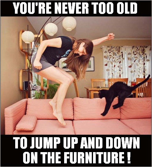 Having Fun Together ! | YOU'RE NEVER TOO OLD; TO JUMP UP AND DOWN
ON THE FURNITURE ! | image tagged in cats,fun,jumping | made w/ Imgflip meme maker