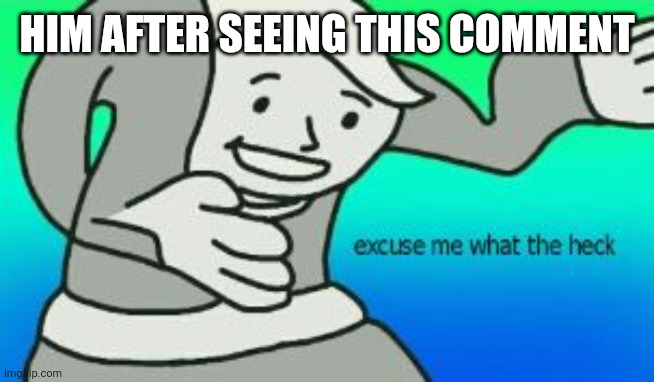 Excuse Me What The Heck | HIM AFTER SEEING THIS COMMENT | image tagged in excuse me what the heck | made w/ Imgflip meme maker