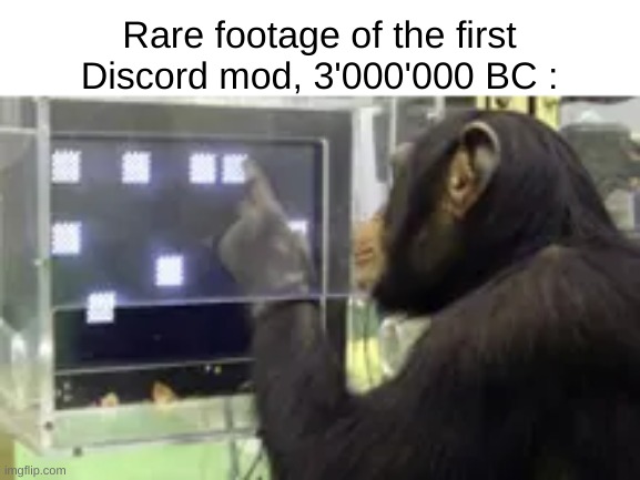 So Lucy was the first discord mod | Rare footage of the first Discord mod, 3'000'000 BC : | image tagged in memes,funny,relatable,discord,monke,front page plz | made w/ Imgflip meme maker