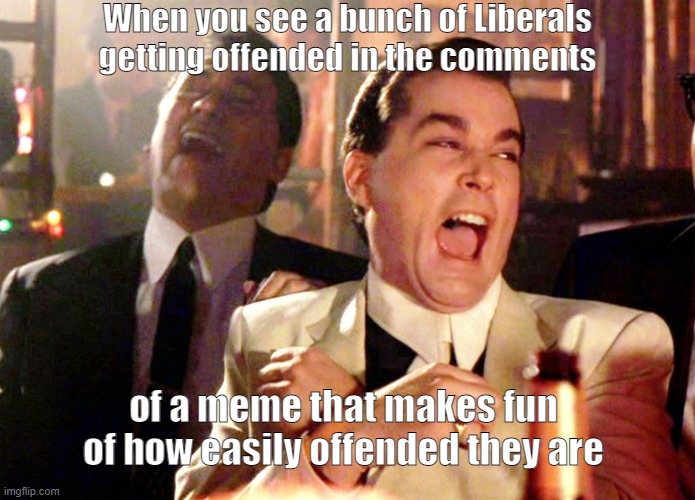 Do they realize that only proves our point? | When you see a bunch of Liberals getting offended in the comments; of a meme that makes fun of how easily offended they are | image tagged in memes,good fellas hilarious,liberals,offended,triggered,woke | made w/ Imgflip meme maker