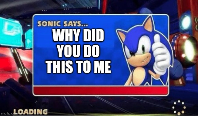 Sonic Says | WHY DID YOU DO THIS TO ME | image tagged in sonic says | made w/ Imgflip meme maker
