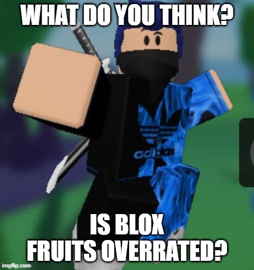 MR BEEEEEAAAAAA | WHAT DO YOU THINK? IS BLOX FRUITS OVERRATED? | image tagged in mr beeeeeaaaaaa | made w/ Imgflip meme maker