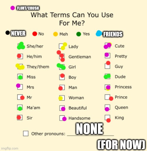 My pronouns! (For now, cuz' I'm still questioning) | FLURT/CRUSH; FRIENDS; NEVER; NONE; (FOR NOW) | image tagged in pronouns sheet,e | made w/ Imgflip meme maker