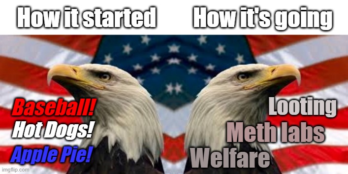 Gov: Turn WHAT around? This is great! | How it started; How it's going; Looting; Baseball! Hot Dogs! Meth labs; Apple Pie! Welfare | image tagged in murica patriotic eagle | made w/ Imgflip meme maker