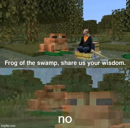 Frog of the swamp, share us your wisdom | no | image tagged in frog of the swamp share us your wisdom | made w/ Imgflip meme maker