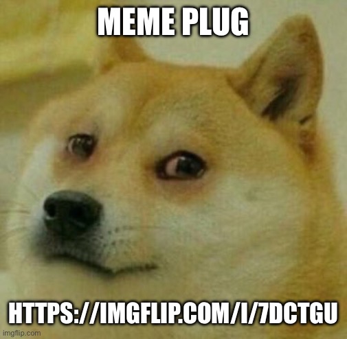 high doge | MEME PLUG; HTTPS://IMGFLIP.COM/I/7DCTGU | image tagged in high doge | made w/ Imgflip meme maker