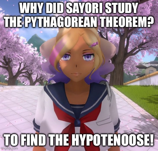Kashiko Murasaki | WHY DID SAYORI STUDY THE PYTHAGOREAN THEOREM? TO FIND THE HYPOTENOOSE! | image tagged in kashiko murasaki | made w/ Imgflip meme maker