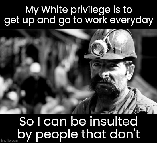 50+ hours a week. | My White privilege is to get up and go to work everyday; So I can be insulted by people that don't | image tagged in memes | made w/ Imgflip meme maker