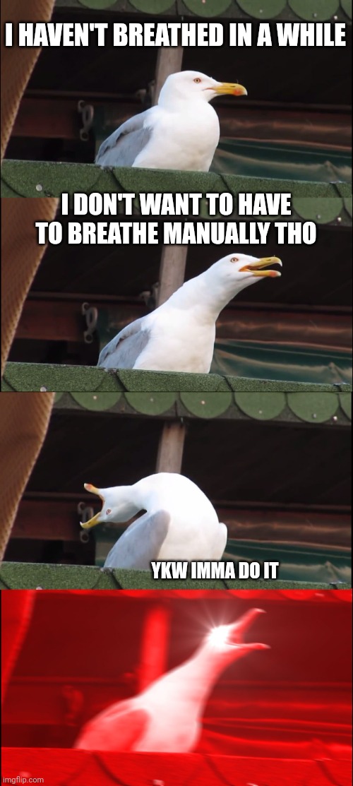Inhaling Seagull | I HAVEN'T BREATHED IN A WHILE; I DON'T WANT TO HAVE TO BREATHE MANUALLY THO; YKW IMMA DO IT | image tagged in memes,inhaling seagull | made w/ Imgflip meme maker