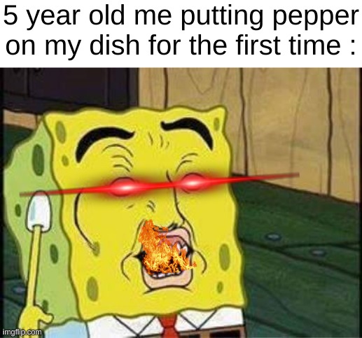 SPICY!?!?!?1!1 | 5 year old me putting pepper on my dish for the first time : | image tagged in sponge bob bruh,memes,funny,relatable,spicy,front page plz | made w/ Imgflip meme maker