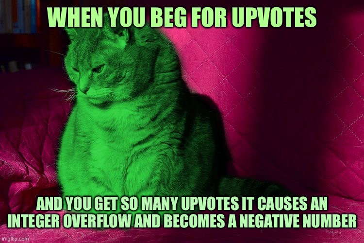 Too popular RayCat problems | WHEN YOU BEG FOR UPVOTES; AND YOU GET SO MANY UPVOTES IT CAUSES AN INTEGER OVERFLOW AND BECOMES A NEGATIVE NUMBER | image tagged in cantankerous raycat,memes,raycat | made w/ Imgflip meme maker