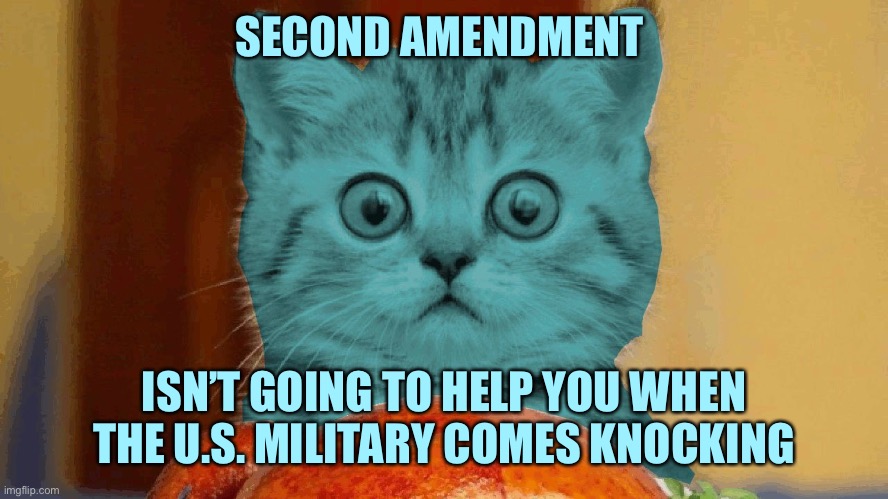 RayCat scared | SECOND AMENDMENT; ISN’T GOING TO HELP YOU WHEN THE U.S. MILITARY COMES KNOCKING | image tagged in raycat surprised,memes,raycat,burma | made w/ Imgflip meme maker