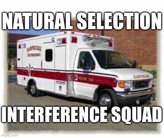 Stolen joke | NATURAL SELECTION; INTERFERENCE SQUAD | image tagged in ambulance | made w/ Imgflip meme maker