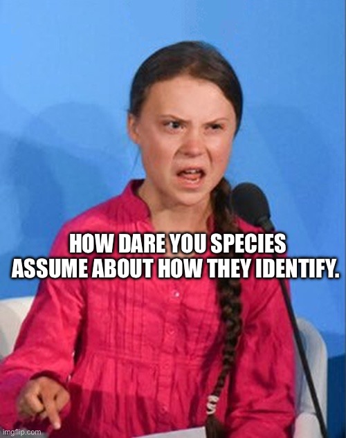 Greta Thunberg how dare you | HOW DARE YOU SPECIES ASSUME ABOUT HOW THEY IDENTIFY. | image tagged in greta thunberg how dare you | made w/ Imgflip meme maker