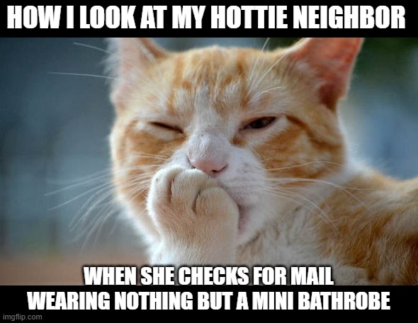 Oh the girl next door.. soo hot | HOW I LOOK AT MY HOTTIE NEIGHBOR; WHEN SHE CHECKS FOR MAIL WEARING NOTHING BUT A MINI BATHROBE | image tagged in sexy women,funny memes,truth,funny cats,girls | made w/ Imgflip meme maker