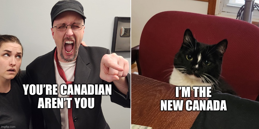 For the nostalgia critic | I’M THE NEW CANADA; YOU’RE CANADIAN AREN’T YOU | image tagged in funny | made w/ Imgflip meme maker