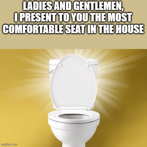 The Most Comfortable Seat In The House | LADIES AND GENTLEMEN, I PRESENT TO YOU THE MOST COMFORTABLE SEAT IN THE HOUSE | image tagged in comfort,comfortable,toilet,bathroom,funny,memes | made w/ Imgflip meme maker