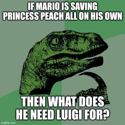 NSMBW stuff | IF MARIO IS SAVING PRINCESS PEACH ALL ON HIS OWN; THEN WHAT DOES HE NEED LUIGI FOR? | image tagged in memes,philosoraptor | made w/ Imgflip meme maker