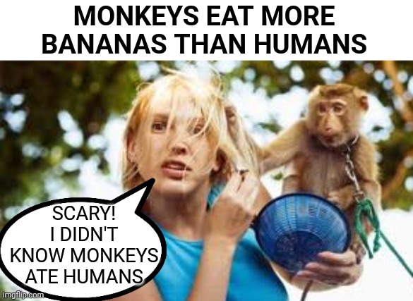 Monkey Food | MONKEYS EAT MORE BANANAS THAN HUMANS; SCARY! I DIDN'T KNOW MONKEYS ATE HUMANS | image tagged in monkey,bananas | made w/ Imgflip meme maker