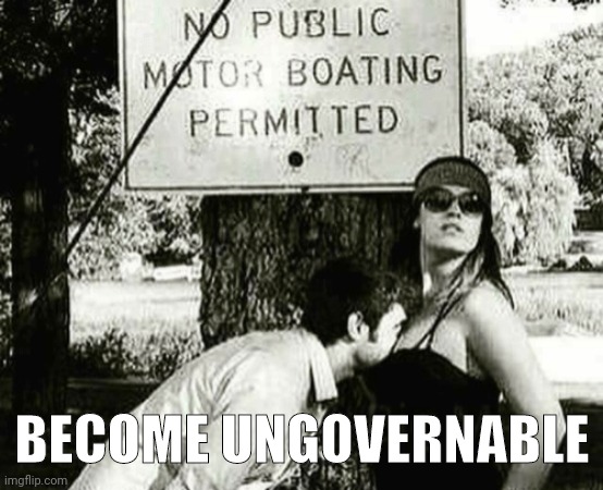 F**k the system. | BECOME UNGOVERNABLE | image tagged in memes | made w/ Imgflip meme maker