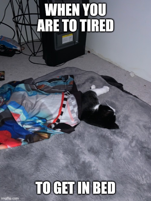 Sleep cat | WHEN YOU ARE TO TIRED; TO GET IN BED | image tagged in sleeping cat | made w/ Imgflip meme maker