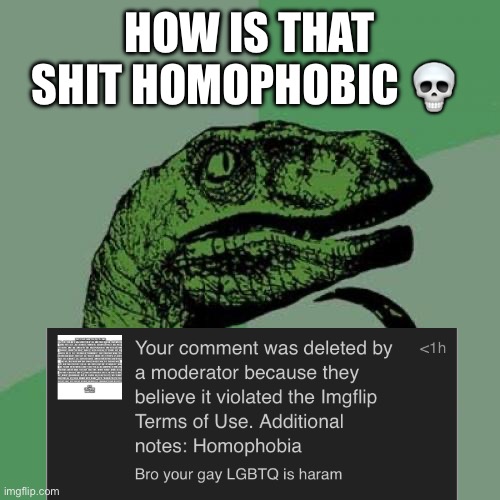 Answer me plz | HOW IS THAT SHIT HOMOPHOBIC 💀 | image tagged in memes,philosoraptor | made w/ Imgflip meme maker