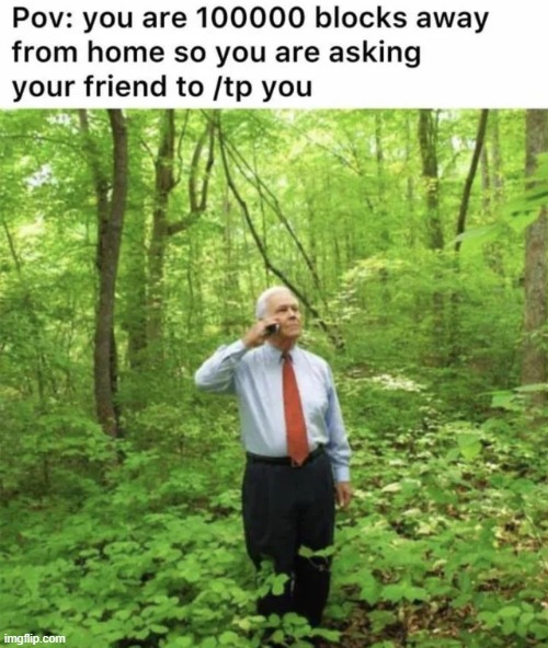 And then he accidentally tp to you | image tagged in memes,funny,minecraft | made w/ Imgflip meme maker