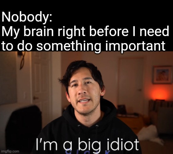 I'm a big idiot | Nobody:
My brain right before I need to do something important | image tagged in i'm a big idiot | made w/ Imgflip meme maker