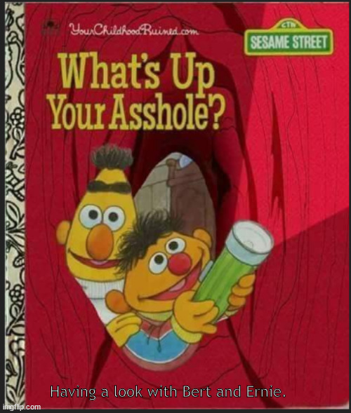 a looksee with Bert and Ernie | Having a look with Bert and Ernie. | image tagged in memes,book,dark humor | made w/ Imgflip meme maker