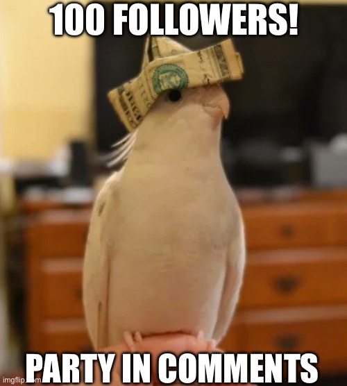 I never thought I would see the day | 100 FOLLOWERS! PARTY IN COMMENTS | image tagged in yay | made w/ Imgflip meme maker