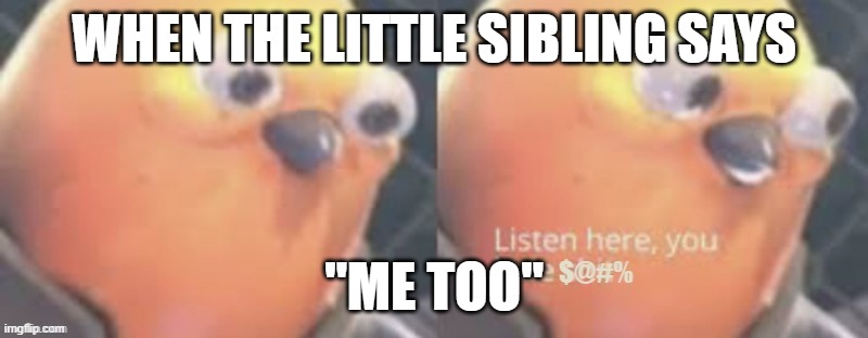 Now listen here you little $@#% | WHEN THE LITTLE SIBLING SAYS; "ME TOO" | image tagged in now listen here you little | made w/ Imgflip meme maker