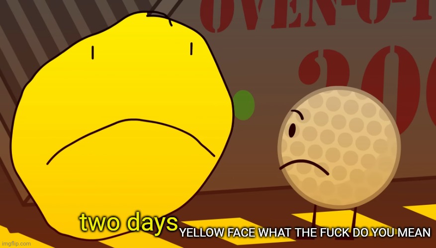 Too long didn't listen | two days YELLOW FACE WHAT THE FUCK DO YOU MEAN | image tagged in too long didn't listen | made w/ Imgflip meme maker