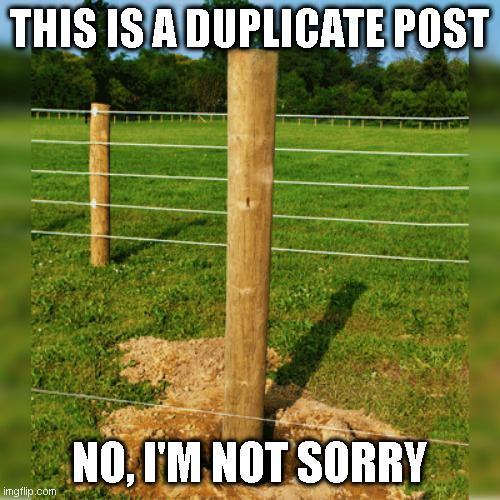 Dupicate Post | THIS IS A DUPLICATE POST; NO, I'M NOT SORRY | image tagged in fence post | made w/ Imgflip meme maker