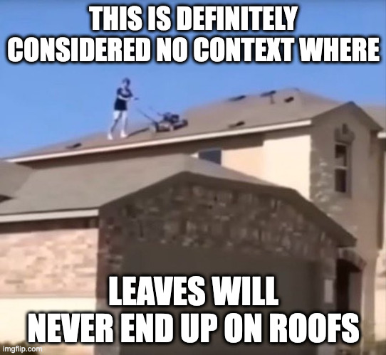 Person With Lawnmower on Roof | THIS IS DEFINITELY CONSIDERED NO CONTEXT WHERE; LEAVES WILL NEVER END UP ON ROOFS | image tagged in memes,lawnmower | made w/ Imgflip meme maker