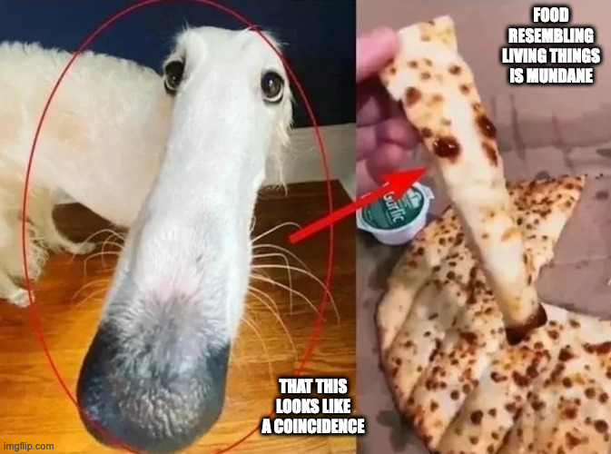 Naan Resembling Dog's Face | FOOD RESEMBLING LIVING THINGS IS MUNDANE; THAT THIS LOOKS LIKE A COINCIDENCE | image tagged in food,dogs,memes | made w/ Imgflip meme maker