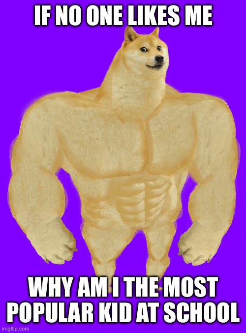 Swole Doge | IF NO ONE LIKES ME; WHY AM I THE MOST POPULAR KID AT SCHOOL | image tagged in swole doge | made w/ Imgflip meme maker