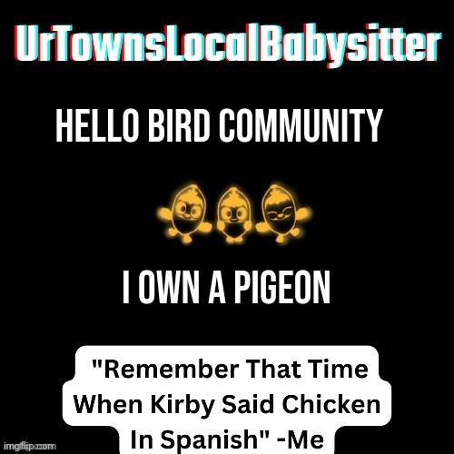 UrTownsLocalBabysitter Announcement Temp | Hello bird community; I own a pigeon | made w/ Imgflip meme maker