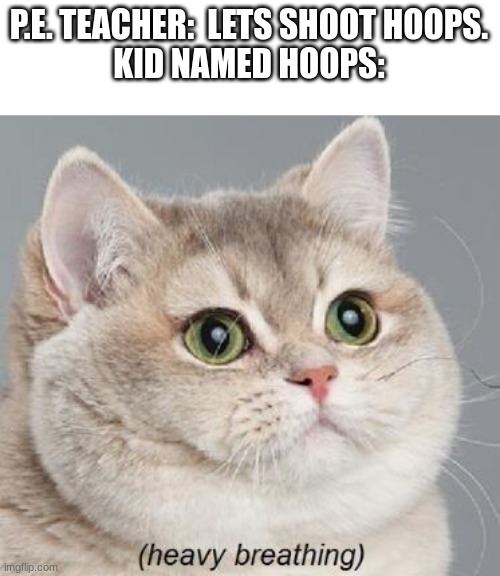 oh no | P.E. TEACHER:  LETS SHOOT HOOPS.

KID NAMED HOOPS: | image tagged in memes,heavy breathing cat | made w/ Imgflip meme maker