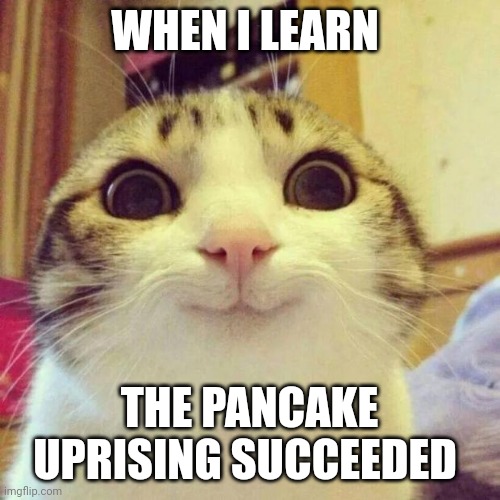 A new pancake civilization | WHEN I LEARN; THE PANCAKE UPRISING SUCCEEDED | image tagged in memes,smiling cat | made w/ Imgflip meme maker