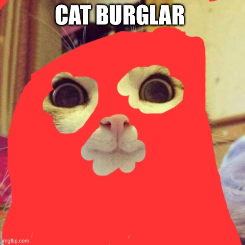 Smiling Cat Meme | CAT BURGLAR | image tagged in memes,smiling cat | made w/ Imgflip meme maker